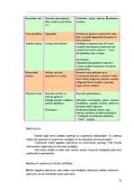 Prakses atskaite 'Uzņēmuma darbības analīze', 22.