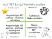 Prezentācija 'AS "PET Baltija" mārketinga vides pētījums', 21.