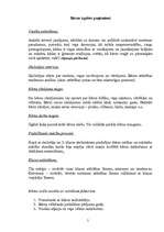 Prakses atskaite 'Bērnu novērošana nodarbību laikā', 5.