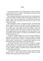 Prakses atskaite 'Darbs ar bērniem ar kustību traucējumem Daugavpils pilsētā', 3.