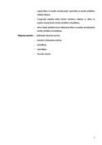 Prakses atskaite 'Darbs ar bērniem ar kustību traucējumem Daugavpils pilsētā', 5.