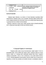 Prakses atskaite 'Darbs ar bērniem ar kustību traucējumem Daugavpils pilsētā', 14.