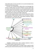 Prakses atskaite 'Darbs ar bērniem ar kustību traucējumem Daugavpils pilsētā', 22.