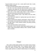 Prakses atskaite 'Darbs ar bērniem ar kustību traucējumem Daugavpils pilsētā', 32.