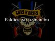 Prezentācija 'Grupa "Guns N’ Roses"', 12.