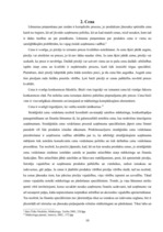 Referāts 'Mārketinga komplekss uzņēmumā SIA "Roze GV"', 10.