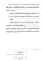 Referāts 'Mārketinga komplekss uzņēmumā SIA "Roze GV"', 14.