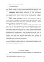 Referāts 'Mārketinga komplekss uzņēmumā SIA "Roze GV"', 19.