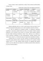 Referāts 'Mārketinga komplekss uzņēmumā SIA "Roze GV"', 24.