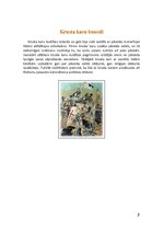 Referāts 'Krusta kari', 3.