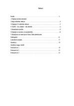 Referāts 'Hip-hopa kultūras attīstība Latvijā un pasaulē', 2.