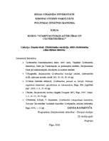 Konspekts 'Cilvēktiesību jēdziena definīcija un izpratne dažādās kultūrās', 1.