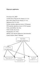 Prakses atskaite 'Grāmatvedības paņēmienu pielietojums', 3.