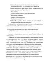 Prakses atskaite 'Grāmatvedības paņēmienu pielietojums', 10.