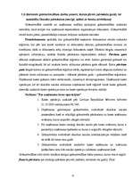 Prakses atskaite 'Grāmatvedības paņēmienu pielietojums', 13.