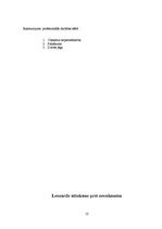 Referāts 'Izcila personība - Leonardo da Vinči', 12.