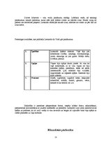 Referāts 'Izcila personība - Leonardo da Vinči', 18.