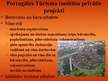 Prezentācija 'Portugāles tūrisma institūts', 10.