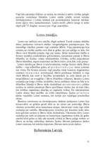 Referāts 'Mārtiņš Luters', 8.