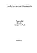 Referāts 'Rumpja muskuļi', 1.