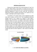 Referāts 'Pētījums socioloģijā "Bailes jauniešu vidū"', 7.