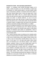 Konspekts 'Darbaspēka brīva kustība - viena no galvenajām pamatbrīvībām ES', 2.