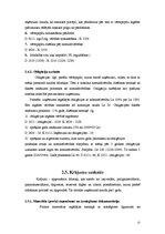 Prakses atskaite 'Prakses atskaite finanšu grāmatvedībā', 13.