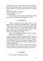 Prakses atskaite 'Prakses atskaite finanšu grāmatvedībā', 28.