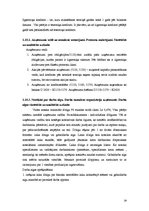 Prakses atskaite 'Prakses atskaite finanšu grāmatvedībā', 29.