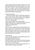 Prakses atskaite 'Prakses atskaite finanšu grāmatvedībā', 31.