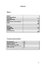 Prakses atskaite 'Prakses atskaite finanšu grāmatvedībā', 33.