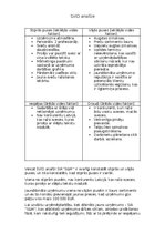 Konspekts 'SVID analīze sveču biznesam', 1.