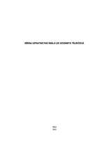 Referāts 'Bērna izpratne par reālo un izdomāto televīzijā', 1.