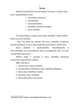 Referāts 'Akciju sabiedrība', 3.