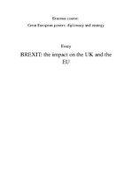 Referāts 'Brexit: the Impact on the UK and the EU', 1.