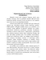 Konspekts 'Civildienests', 1.