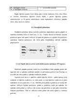 Referāts 'Sadales loģistika', 13.