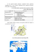 Referāts 'Sadales loģistika', 15.