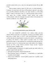 Referāts 'Sadales loģistika', 19.