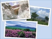 Referāts 'Ziemeļkorejas ekonomiski-sociālais raksturojums', 15.