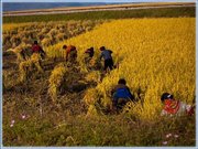 Referāts 'Ziemeļkorejas ekonomiski-sociālais raksturojums', 22.