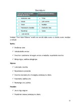 Referāts 'Viesnīcu menedžments.Viesnīca "Park Hotel Rīdzene"', 10.