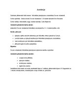 Referāts 'Bibliotēkas pakalpojumu izmantošana Druvas vidusskolā', 3.