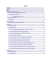 Referāts 'Bibliotēkas pakalpojumu izmantošana Druvas vidusskolā', 5.