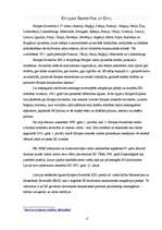 Referāts 'Eiro ieviešana', 4.