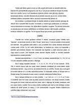 Referāts 'Eiro ieviešana', 5.