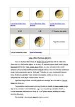 Referāts 'Eiro ieviešana', 7.