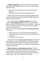 Referāts 'Eiro ieviešana', 11.