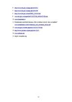 Referāts 'Eiro ieviešana', 21.