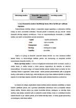 Diplomdarbs '"Rietumu Bankas" finansiālās darbības analīze un tās pilnveidošana', 15.